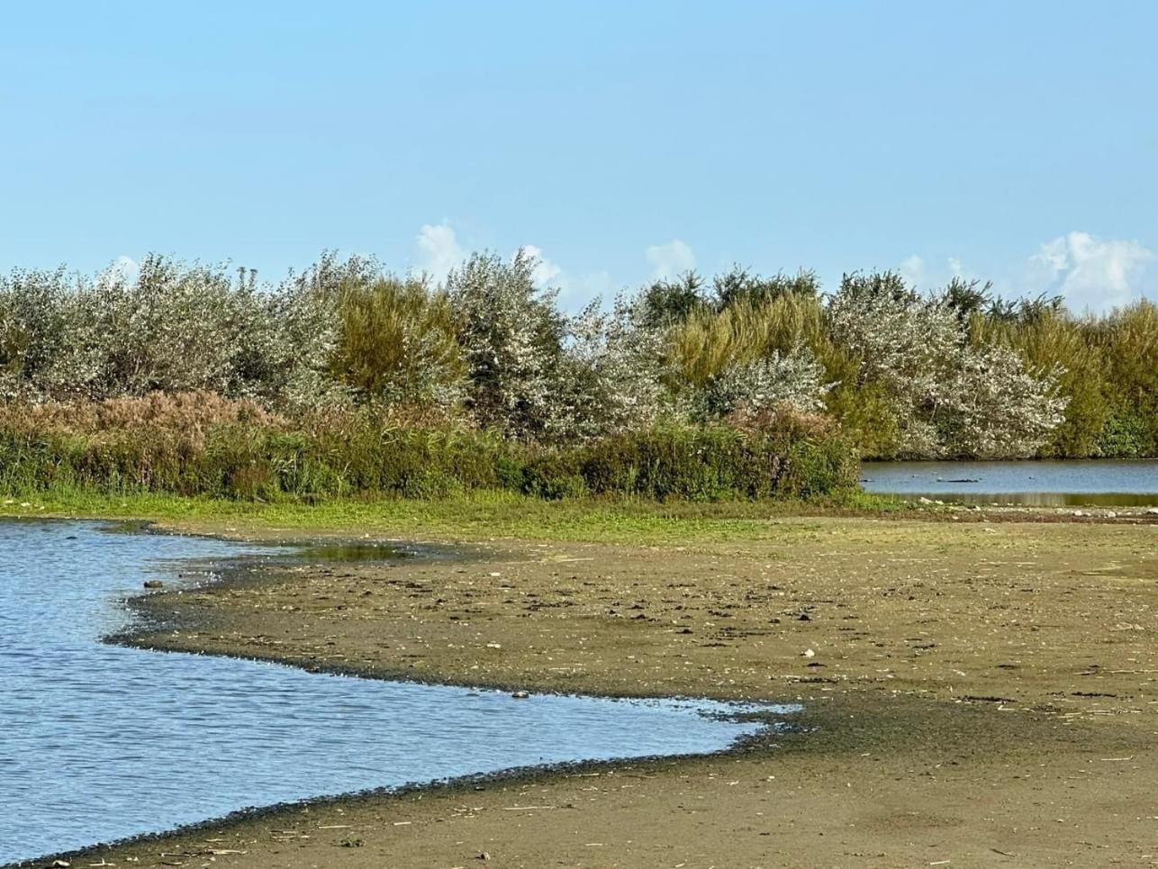 Hotel Les Mouettes Wenduine Zewnętrze zdjęcie
