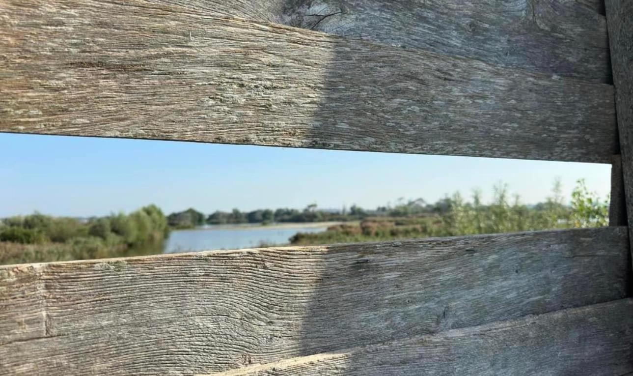 Hotel Les Mouettes Wenduine Zewnętrze zdjęcie